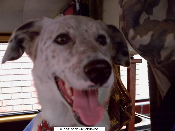 vw t3 din 1982 - Hahahaha,10000 ture daca turezi 3 motoare la - Prezentare masini